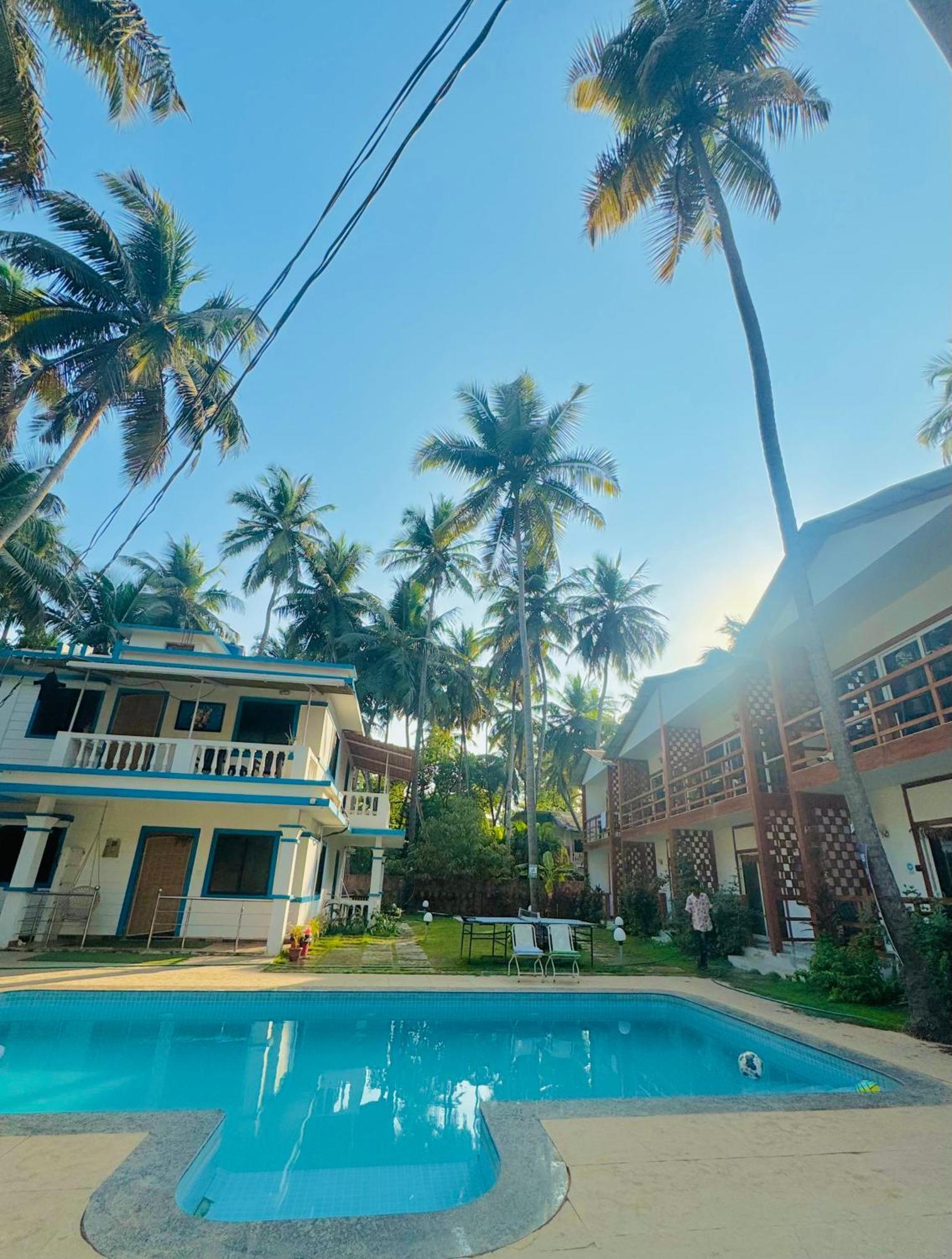 White Turtle Hotel Morjim Luaran gambar